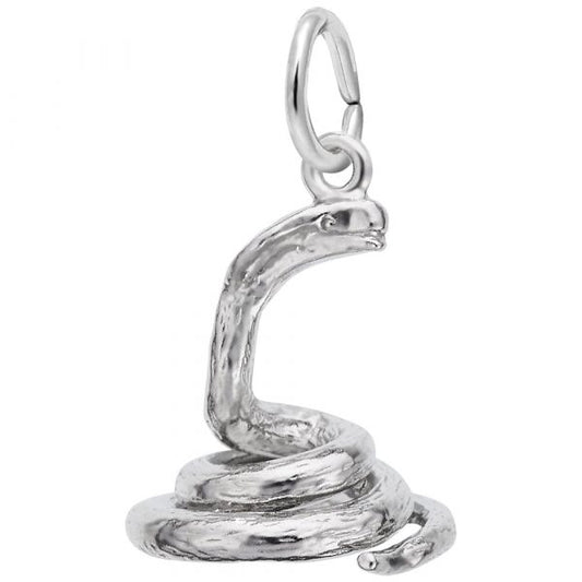 Rembrandt charms Cobra Charm